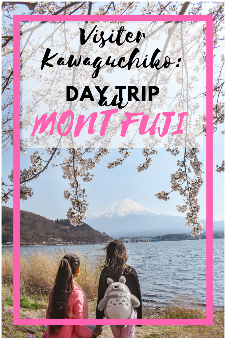 Day trip Mont Fuji